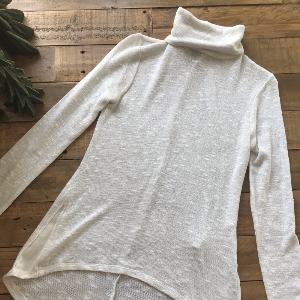 Sheer Turtleneck Sweater